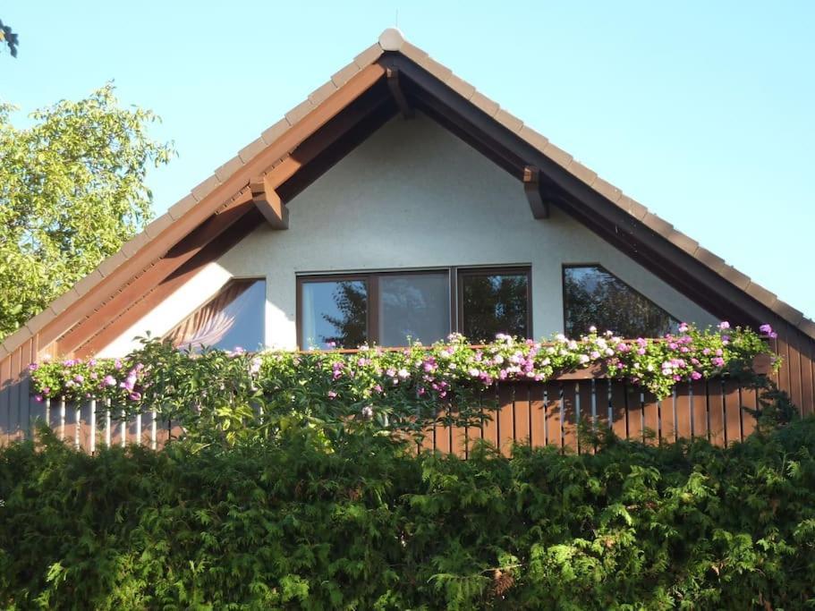 Ferienwohnung Am Stadtrand Von Berlin Neu Buch エクステリア 写真